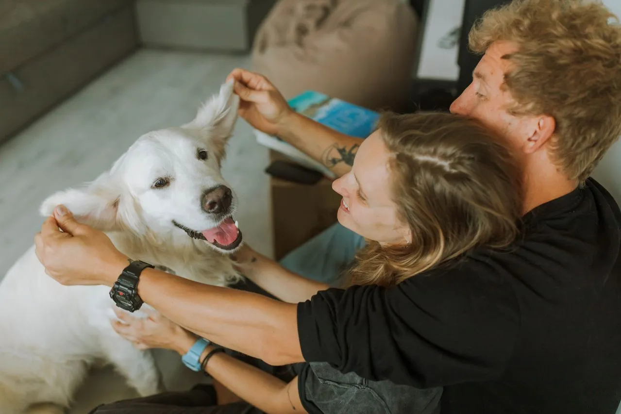 Un chien heureux dans son nouveau foyer, jouant avec sa nouvelle famille.