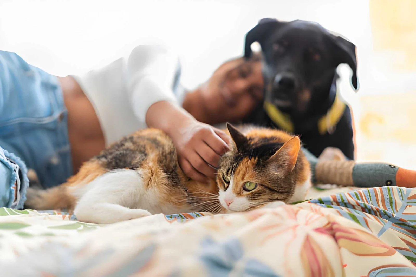 Une jeune femme allongée dans son lit, câlinant son chat et son chien récemment adopté.