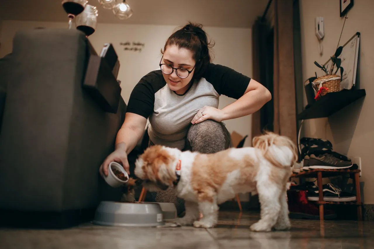 Un dog-sitter s'occupant d'un chien pendant l'absence de son maître : repas et promenade.
