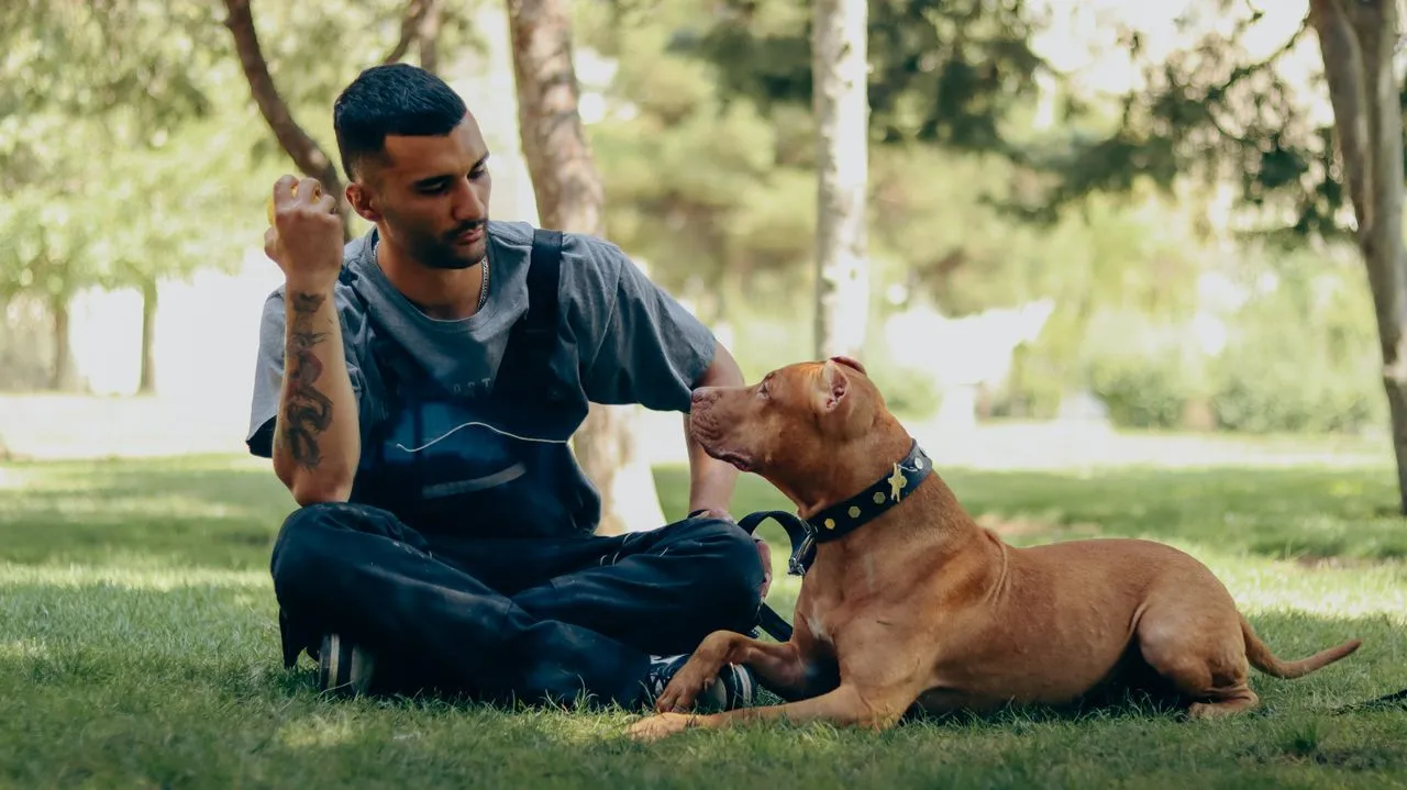 Un homme s'amusant dans un parc avec son chien adulte, en pleine forme.