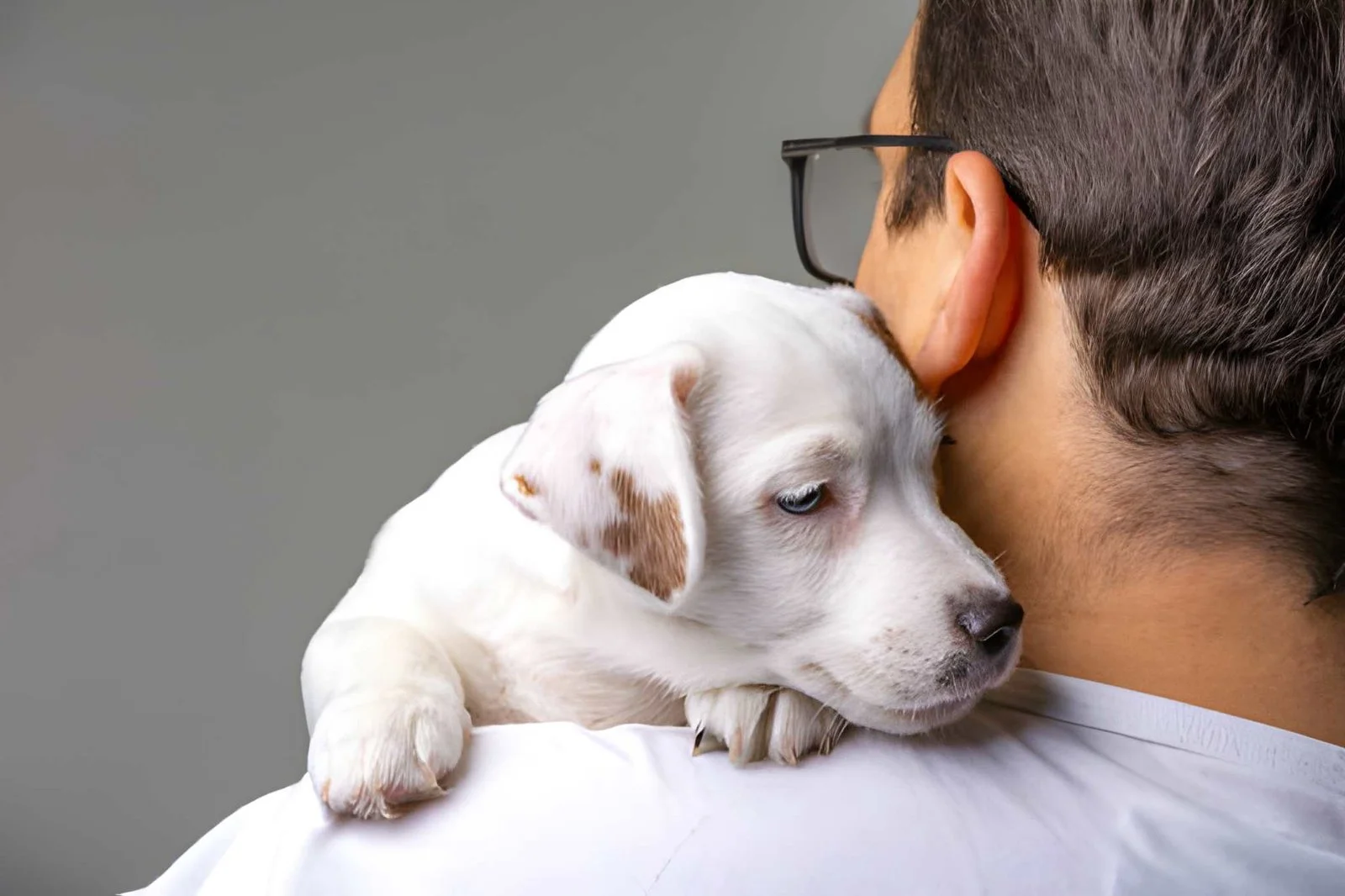 Un homme tenant dans ses bras le chiot qu'il vient d'adopter.