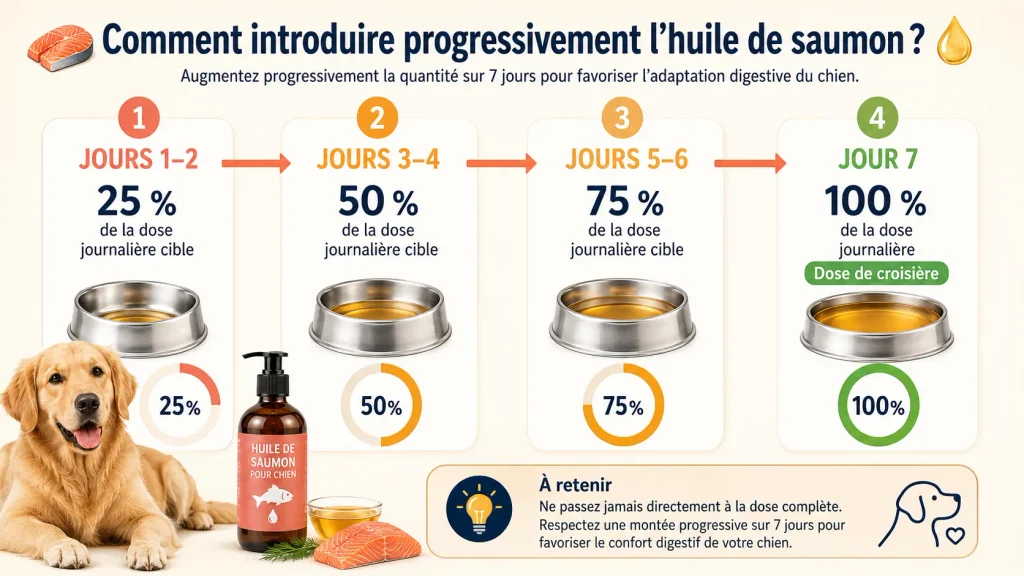 Huile de saumon pour chien : guide visuel pour augmenter progressivement la dose journalière de 25 % à 100 % sur 7 jours.